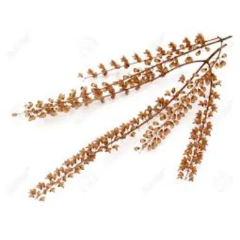 Great Dried Tulsi Leaves